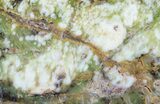 Polished Green-White Opal Slab - Western Australia #65406-1
